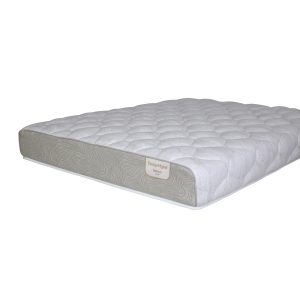 2025_NZ_DM REFRESH_WRAP_PLUSH_3QTR Matt